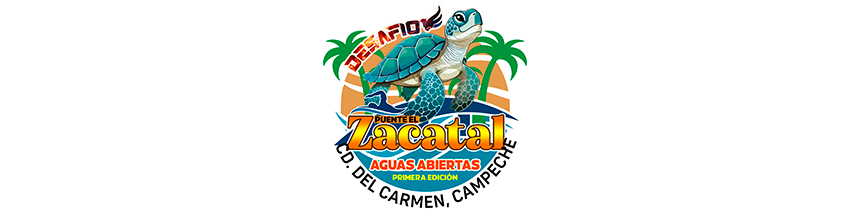 DESAFIO PUENTE EL ZACATAL 2026 Información General